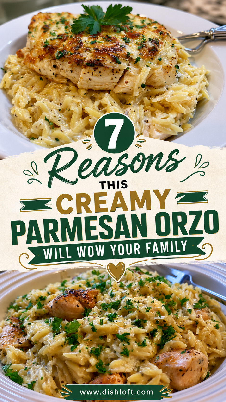 Creamy Parmesan Orzo with Chicken