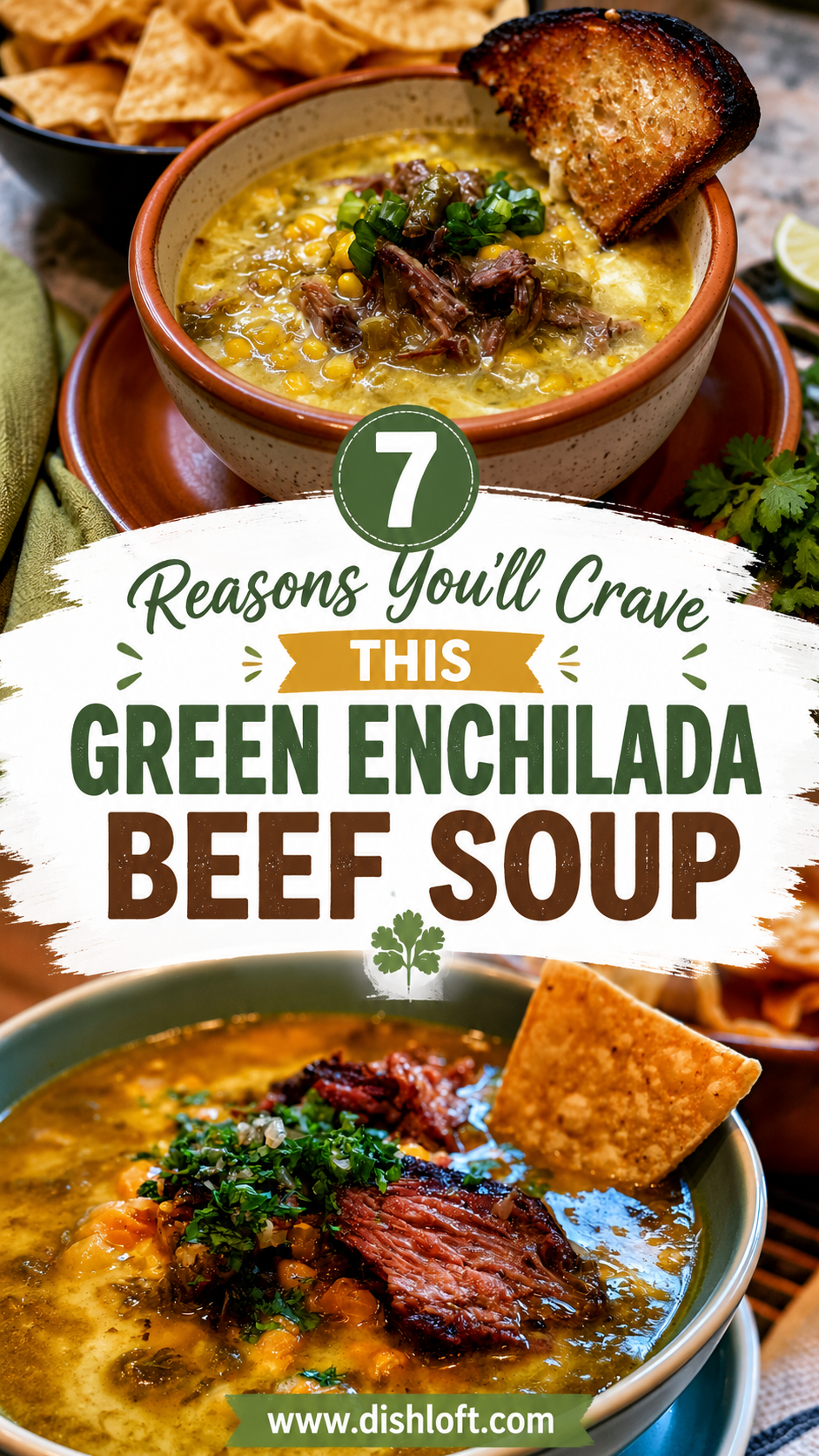 Green Enchilada Beef Soup