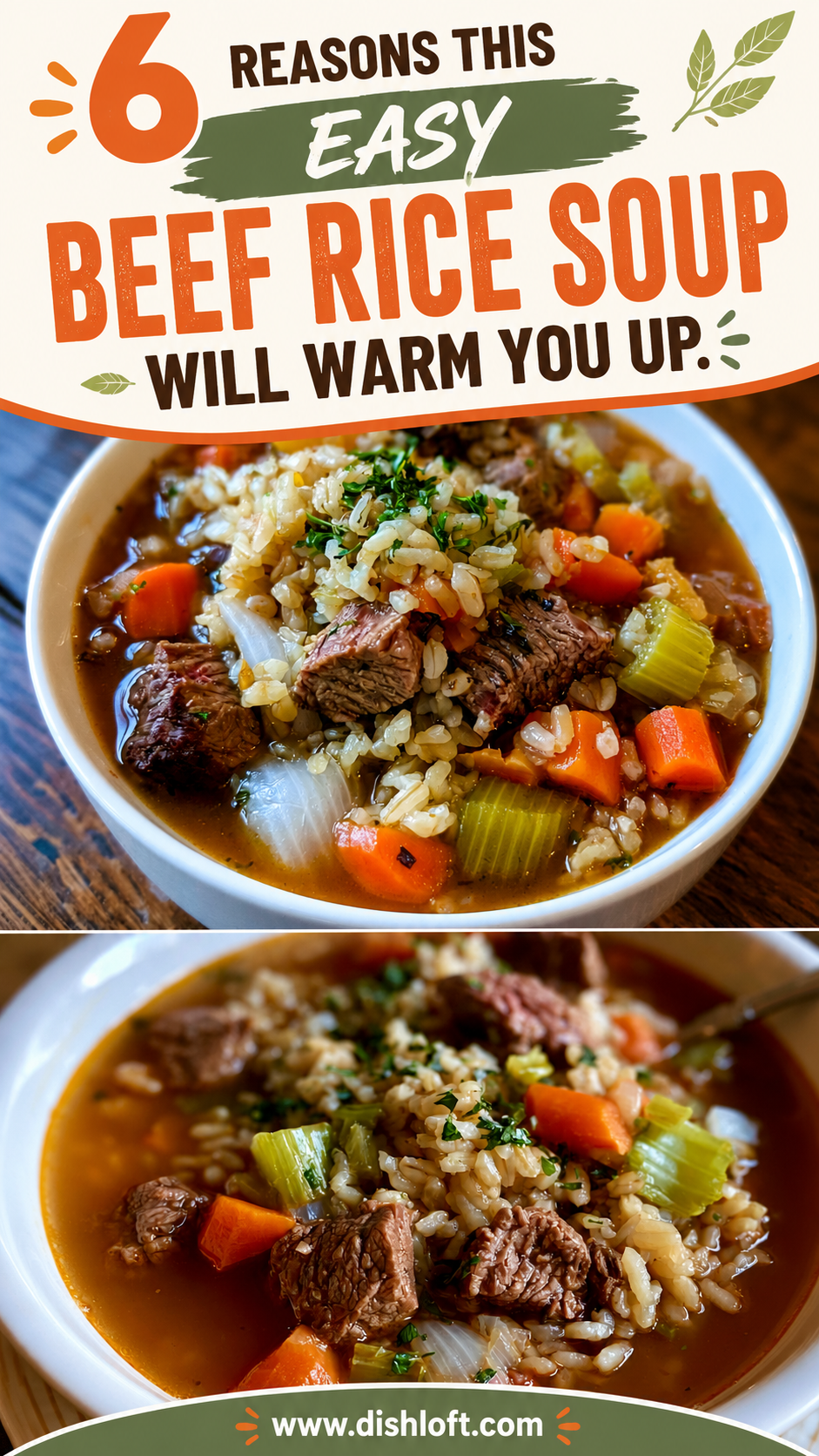 Beef Rice Soup